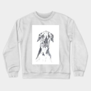 Harlequin Great Dane portrait Crewneck Sweatshirt